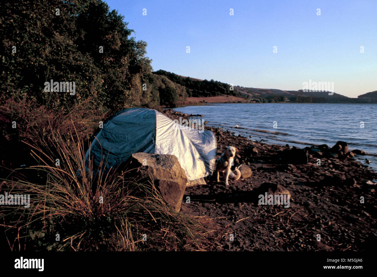L'Italia, lazio, anguillara sabazia, lago di Martignano, tenda Foto stock -  Alamy