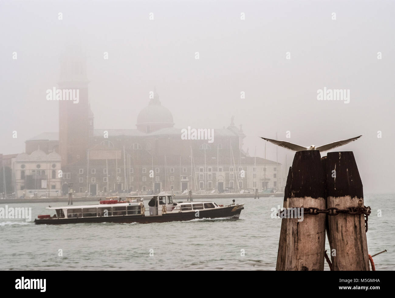 L'Italia,Venezia,Canal Grande Foto Stock