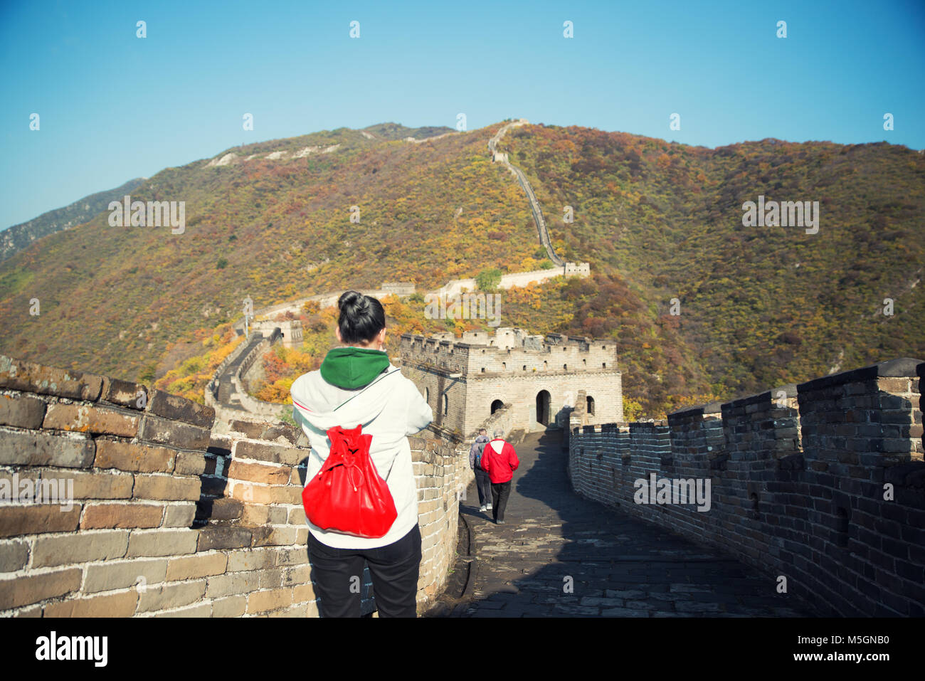 Ragazza giovane turista da dietro alla ricerca in vista della Grande Muraglia a Badaling famosa attrazione turistica durante i viaggi di vacanza in Pechino. Asia Foto Stock