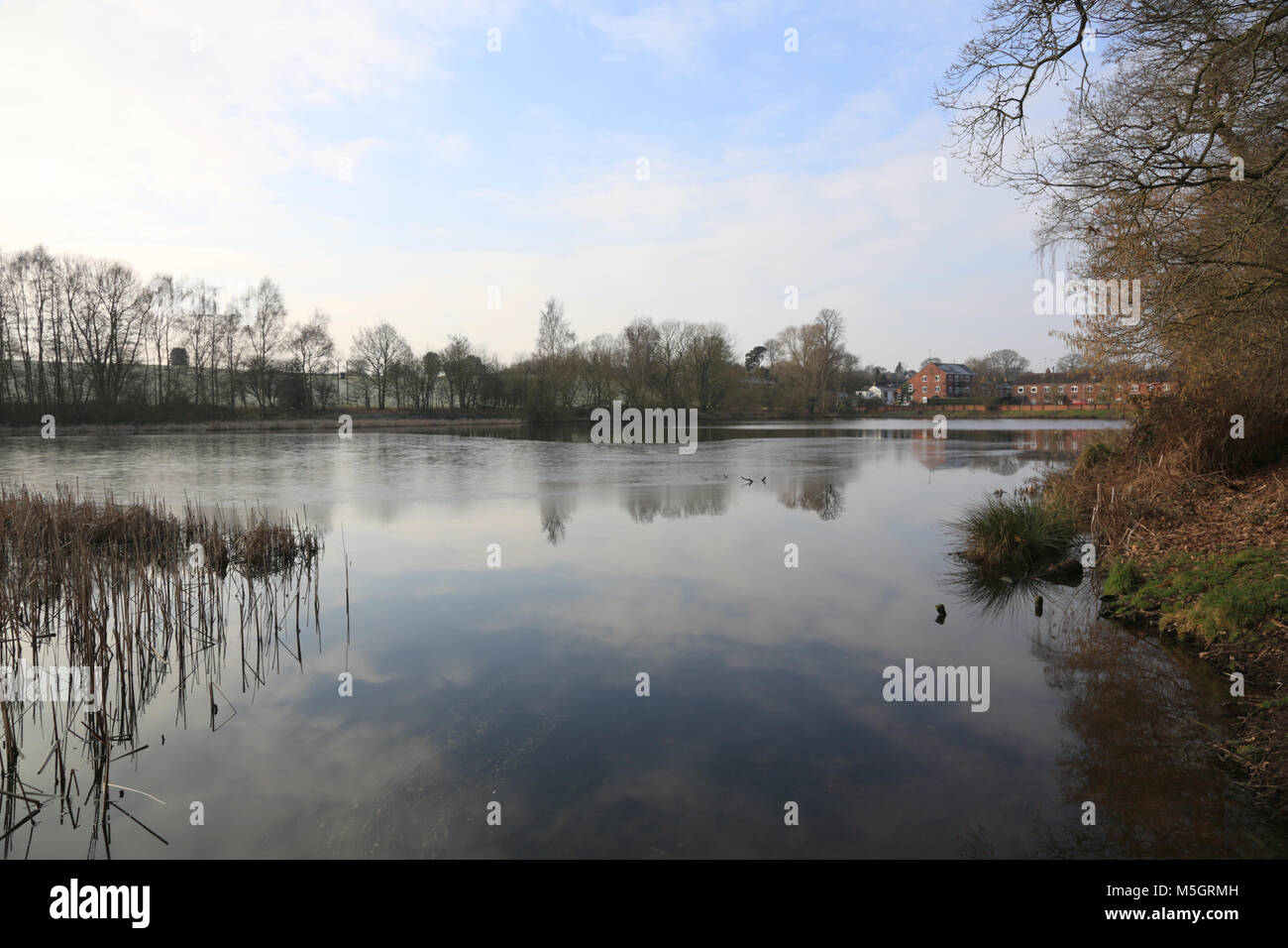 Piscine Hurcott e legno riserva naturale vicino a Kidderminster, Worcestershire, Regno Unito. Foto Stock