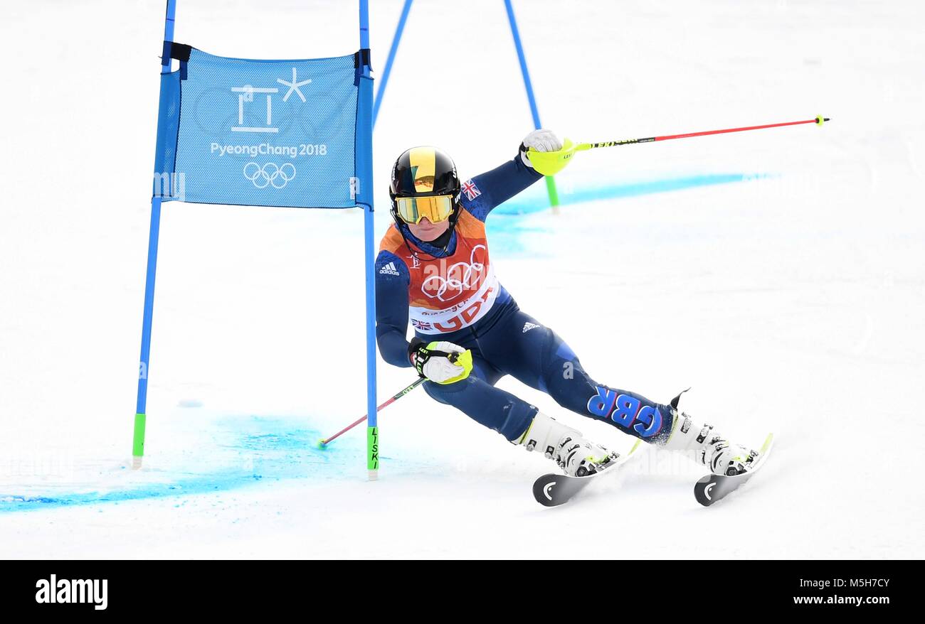 Pyeongchang, Corea del Sud. Il 24 febbraio, 2018. Charlie Guest (GBR). Team Alpina Sci evento. Yongpyong alpine center. Alpensia. Pyeongchang2018 Olimpiadi invernali. Repubblica di Corea. 24/02/2018. Credito: Sport In immagini/Alamy Live News Foto Stock