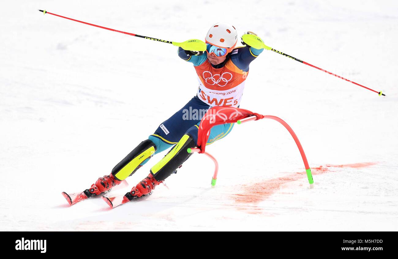 Pyeongchang, Corea del Sud. Il 24 febbraio, 2018. . Team Alpina Sci evento. Yongpyong alpine center. Alpensia. Pyeongchang2018 Olimpiadi invernali. Repubblica di Corea. 24/02/2018. Credito: Sport In immagini/Alamy Live News Foto Stock