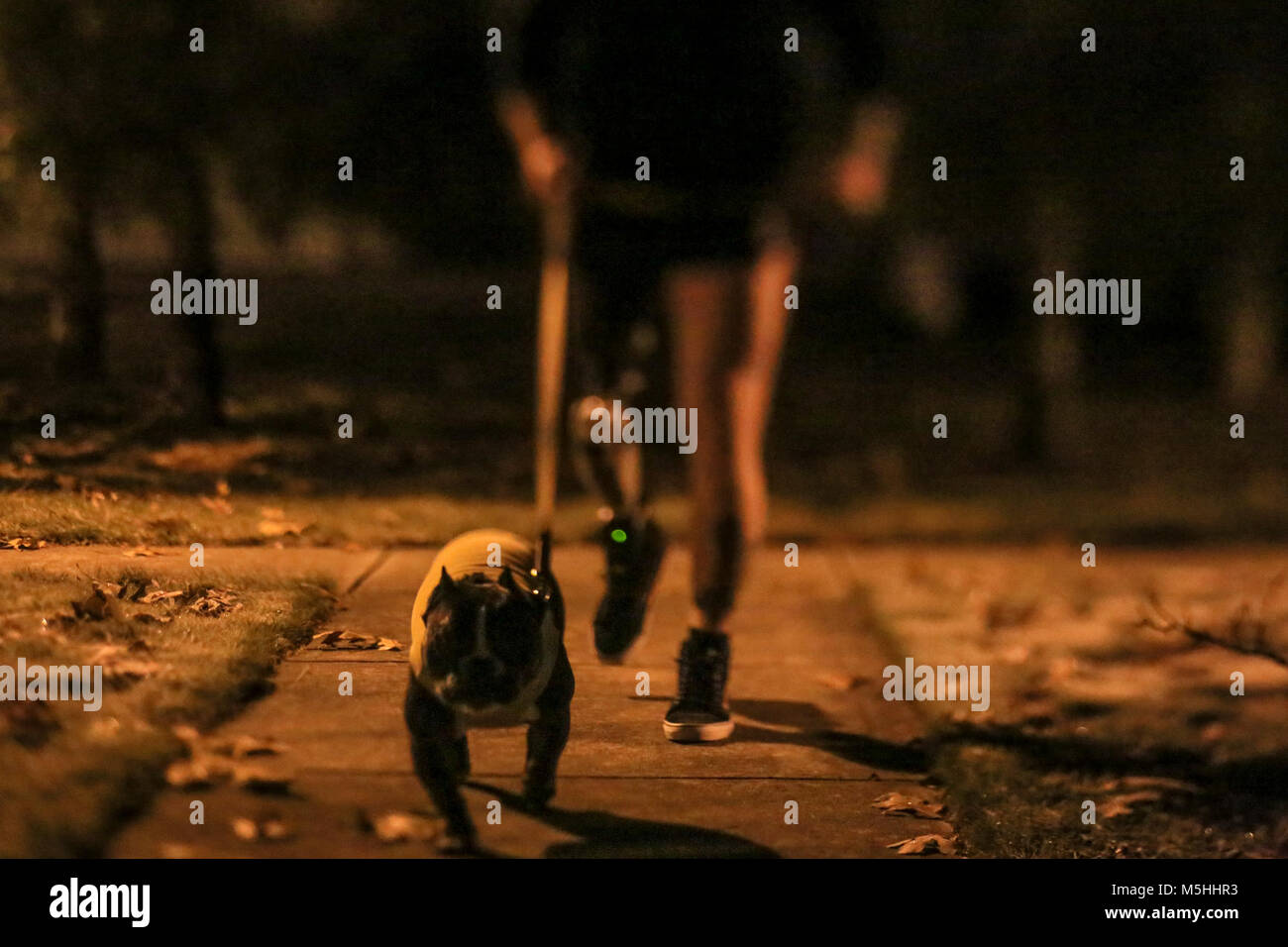 Cpl. Rory Hamill, un combattimento-feriti Marine, prende la sua e la sua fidanzata del serbatoio del cane per una passeggiata mattutina in Lakehurst, N.J., Dicembre 4, 2017. (U.S. Air National Guard Foto Stock