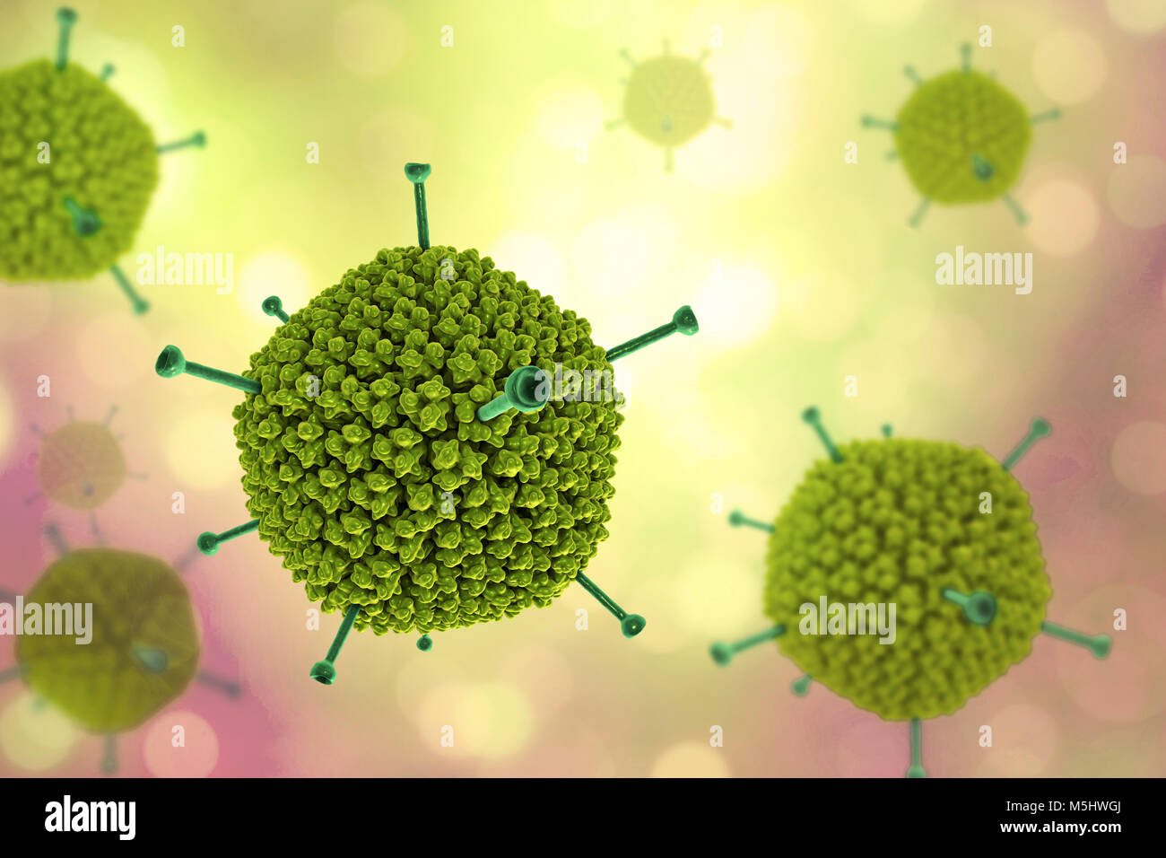 Struttura di adenovirus, computer illustrazione che mostra la struttura di superficie del virus esterna del rivestimento di proteina (capside). Molti gli adenovirus infettano il tratto respiratorio, causando il raffreddore comune di sintomi simili, e infettare anche gli occhi e gut, in particolare per i bambini. Il giallo sporgenze sono note come fibre di pentone e si trovano in corrispondenza di ciascuno dei vertici 12 del capside. Ciascuna fibra è ribaltata con proteine che permettono al virus di entrare nella sua cella di bersaglio. Foto Stock