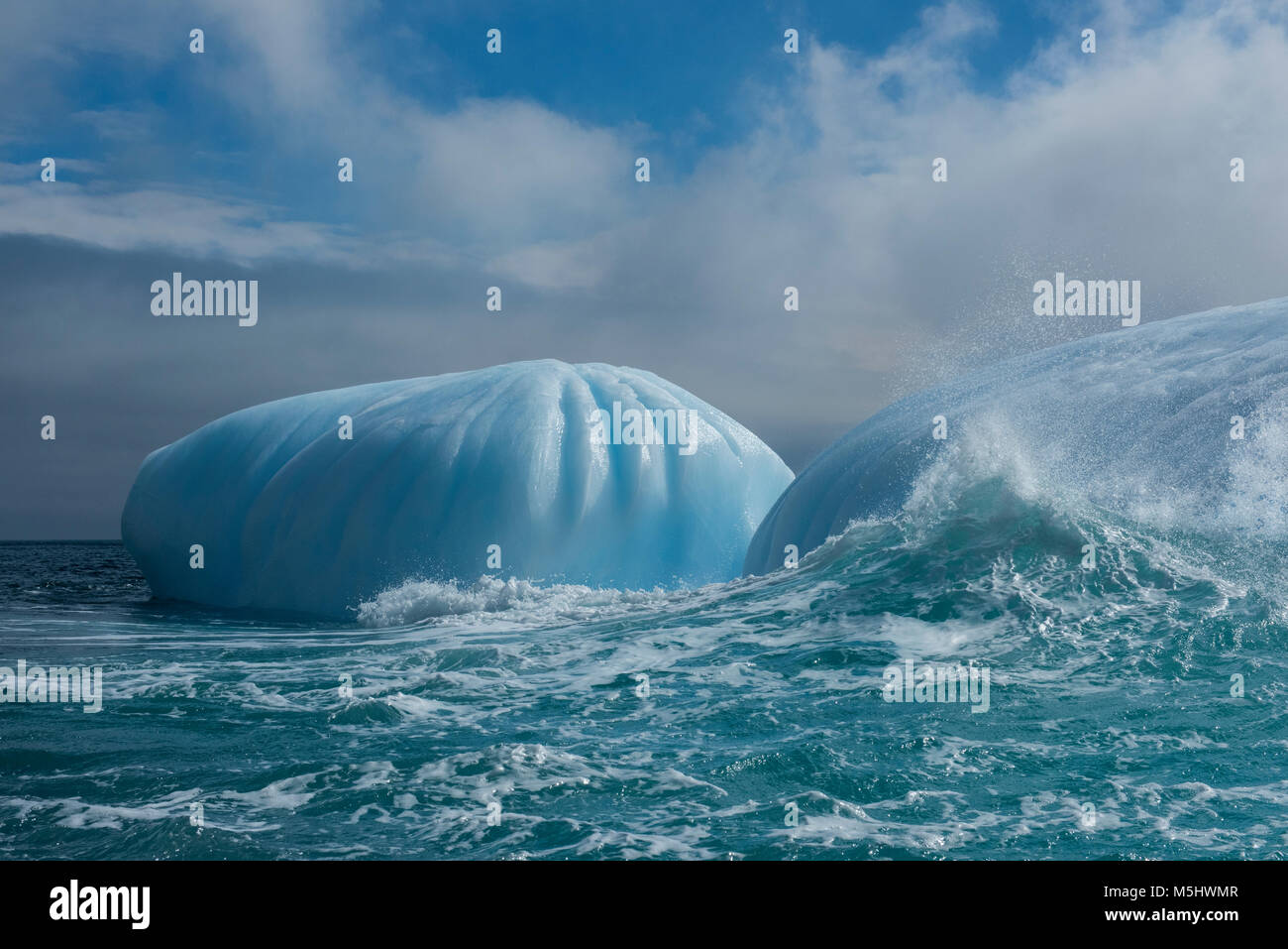 British territorio d'oltremare, Isole Sandwich del Sud, Saunders Island. Grandi iceberg al largo di Saunders Island. Foto Stock