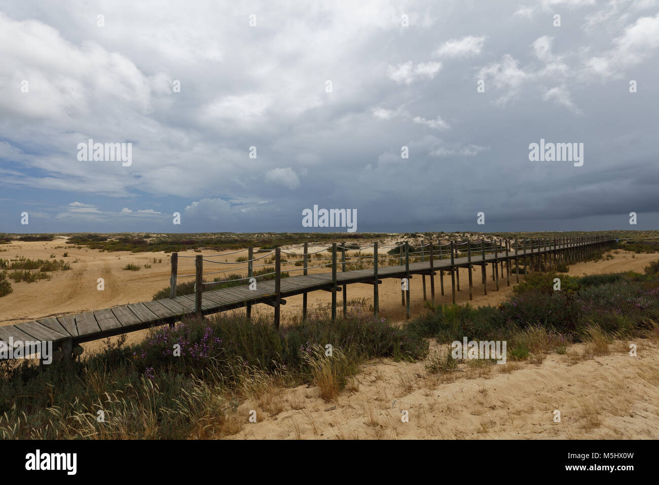 Percorso per la spiaggia su Culatra Island nel Parco naturale di Ria Formosa, Portogallo Foto Stock