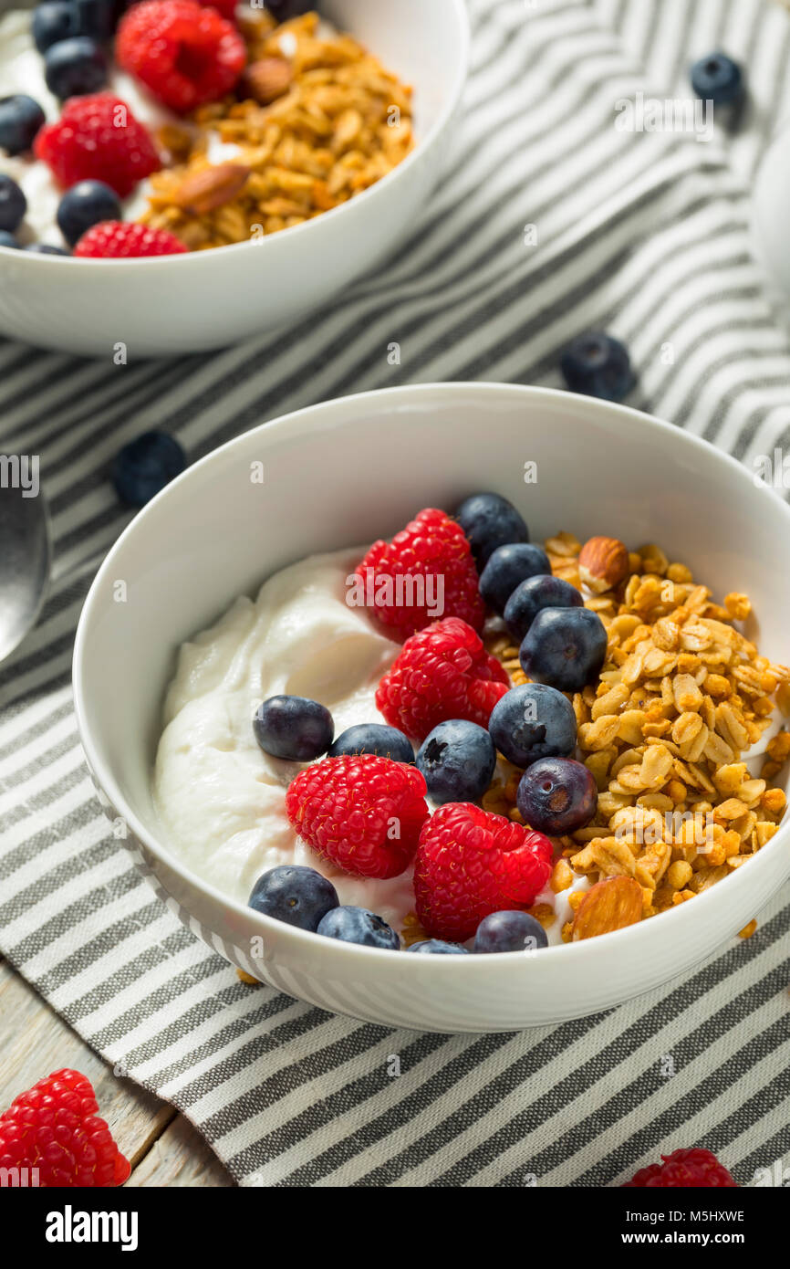 Organico sano lo yogurt greco con cereali e frutti di bosco in una ciotola Foto Stock