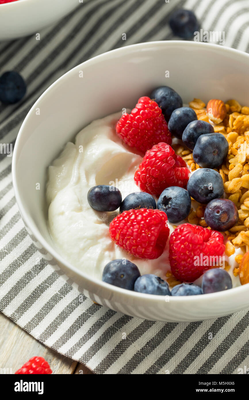 Organico sano lo yogurt greco con cereali e frutti di bosco in una ciotola Foto Stock