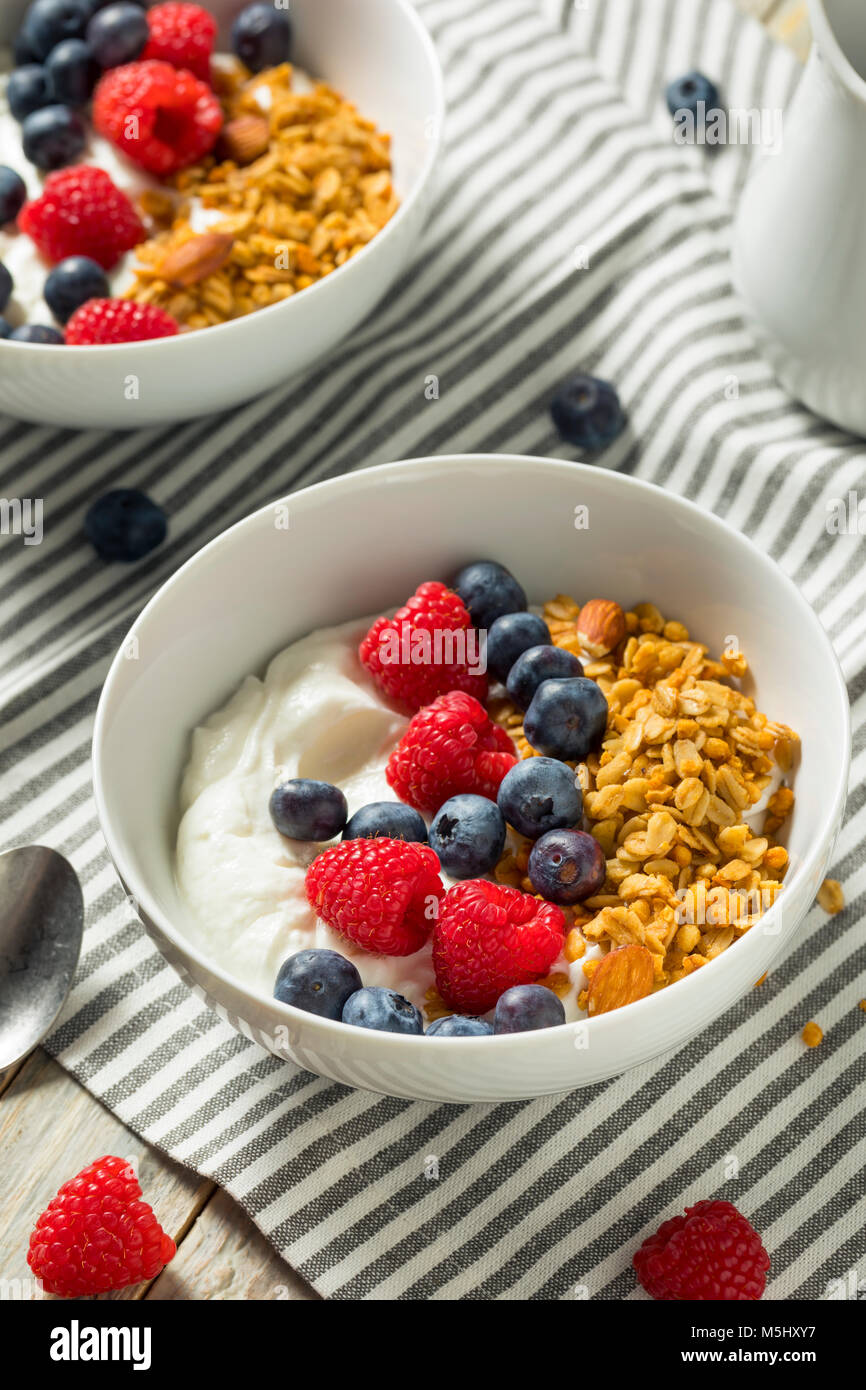 Organico sano lo yogurt greco con cereali e frutti di bosco in una ciotola Foto Stock