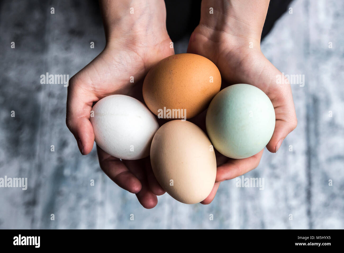 Differenti uova, bianco, marrone, marrone chiaro e verde uova Foto Stock