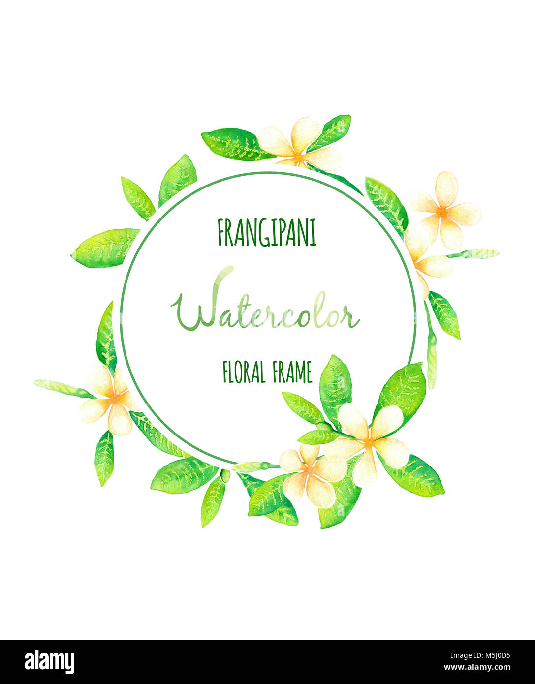 Tropical tiarè fiori cornice rotonda pittura ad acquerello Foto Stock