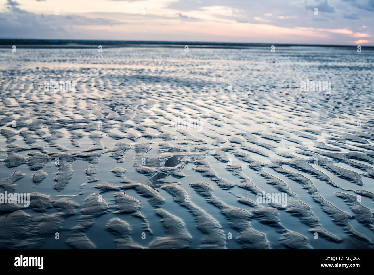 Francia, Normandia, Portbail, Contentin, spiaggia con la bassa marea al tramonto Foto Stock