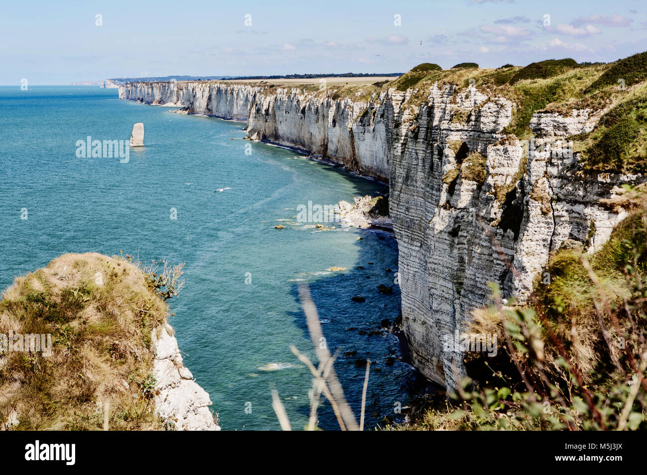 Francia, Normandia, Cote d'alabastro, rock costa tra Yport e Etretat Foto Stock