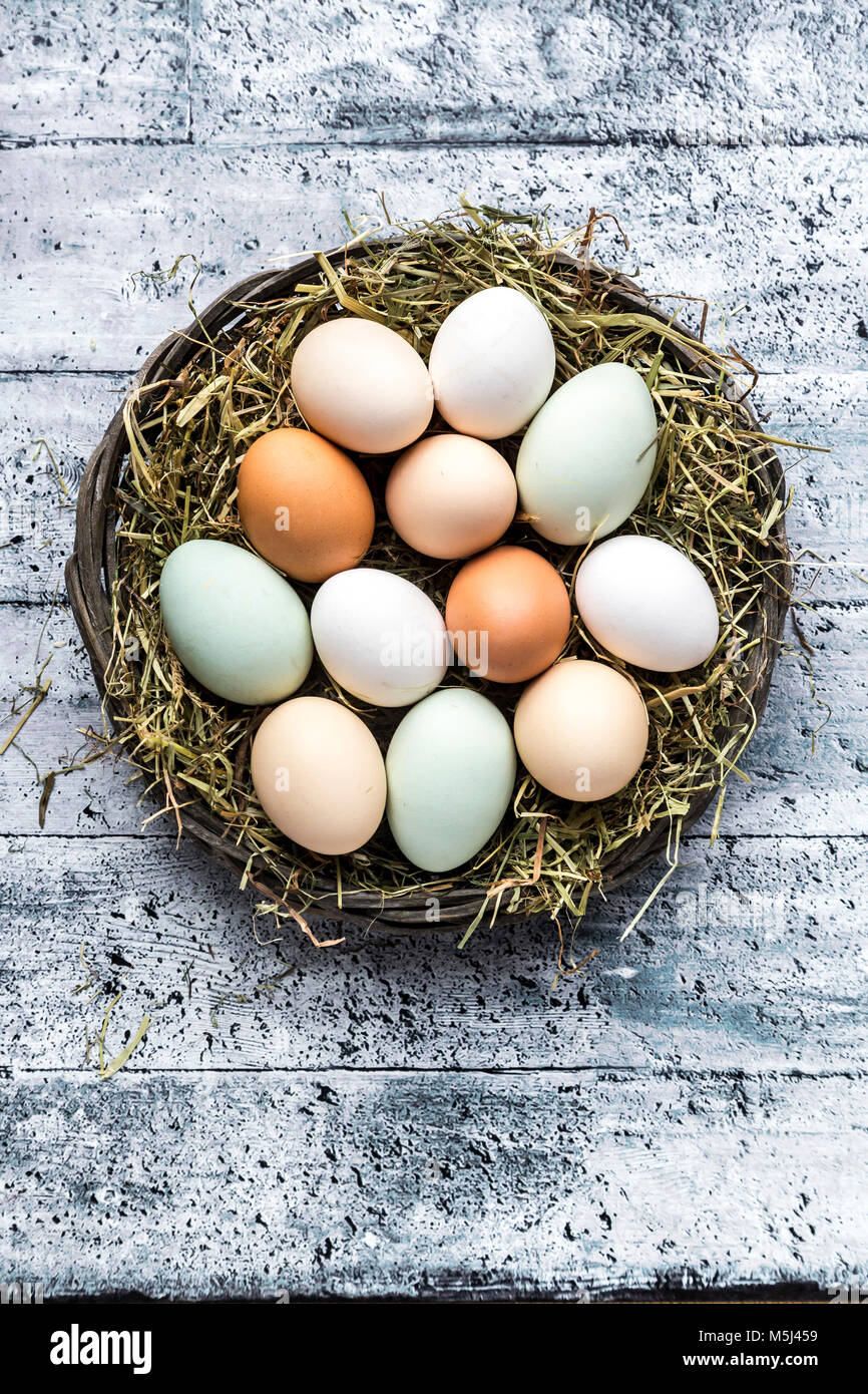 Differenti uova, bianco, marrone, marrone chiaro e verde uova Foto Stock