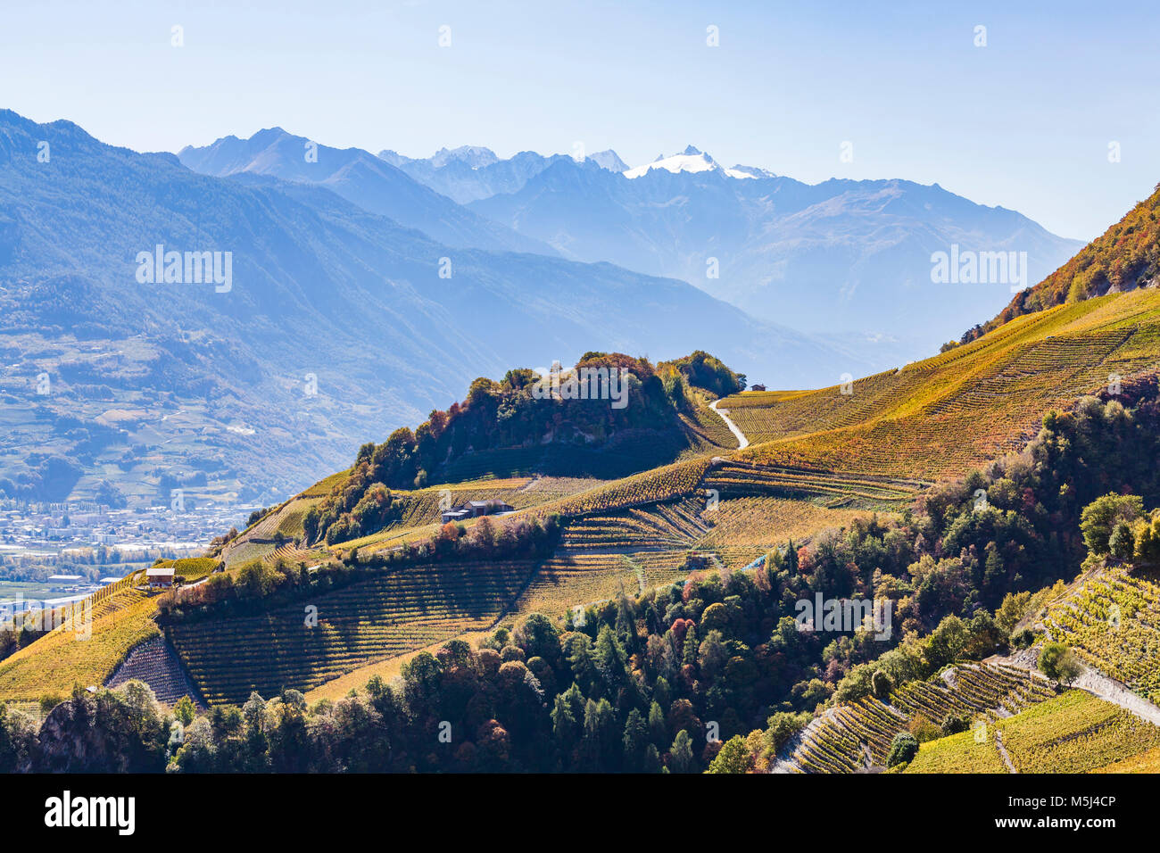 Schweiz, Kanton Wallis, Rhonetal, Montagnon, Weinberge, Weinbau, Herbst Foto Stock