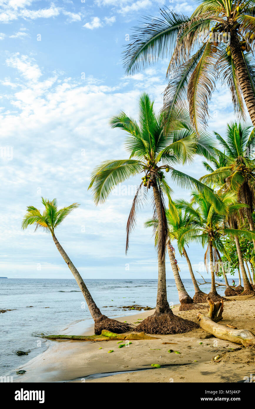 Costa Rica, Limon, Puerto Viejo, Chiquita Beach Foto Stock