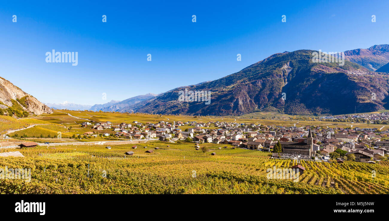 Schweiz, Kanton Wallis, Rhonetal, Leytron, Weinberge, Weinbau, Herbst Foto Stock
