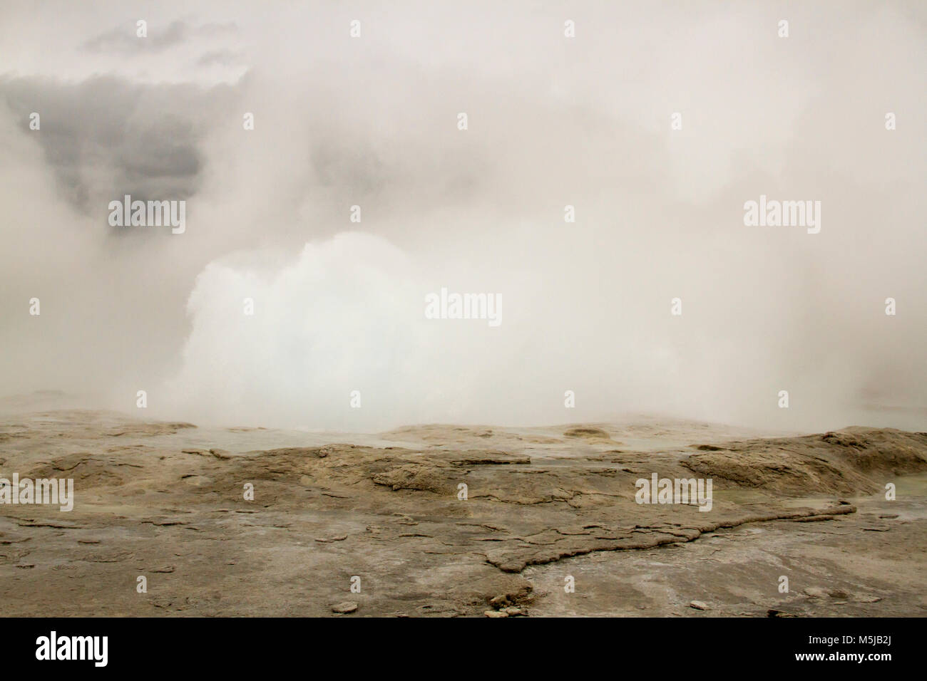 Vapore e acqua ad eruttare dalla fontana Geyser sfiato al Fountain Paint Pots nel Parco Nazionale di Yellowstone, Wyoming in inverno. Foto Stock