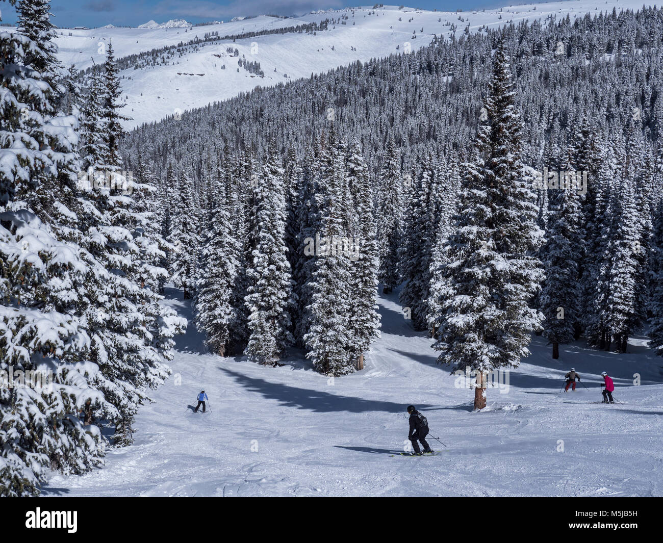 Big Rock Park Trail, inverno, Blue Sky Basin, Vail Ski Resort, Vail Colorado. Foto Stock