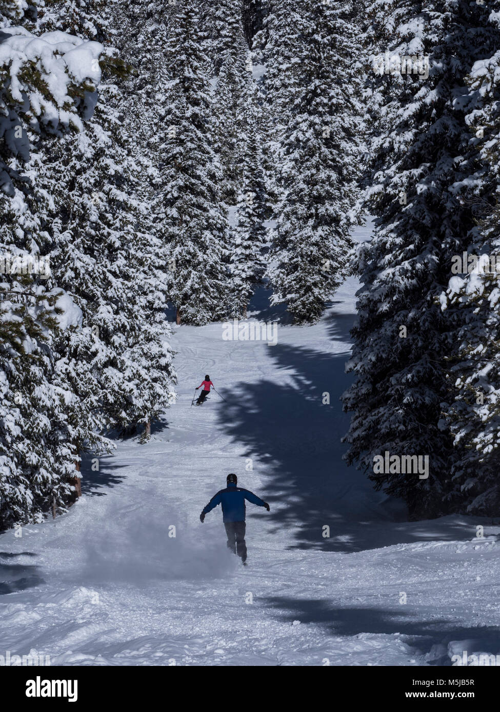 Big Rock Park Trail, inverno, Blue Sky Basin, Vail Ski Resort, Vail Colorado. Foto Stock