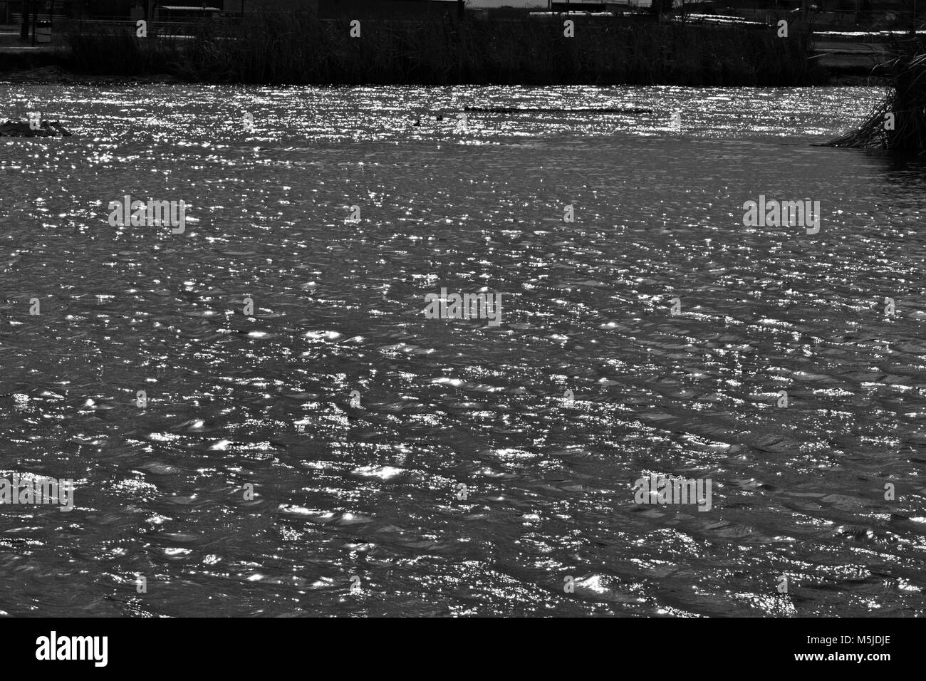 La luce del sole riflessioni su Lindsey pubblico Parco Lago di pesca, Canyon, Texas Foto Stock