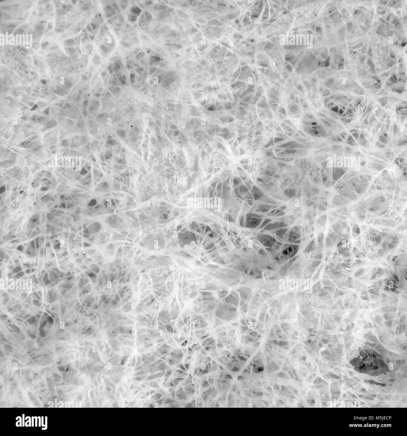 Carta goffrata asciugamano, micrografia di luce, area raffigurato è di circa 3mm di larghezza Foto Stock