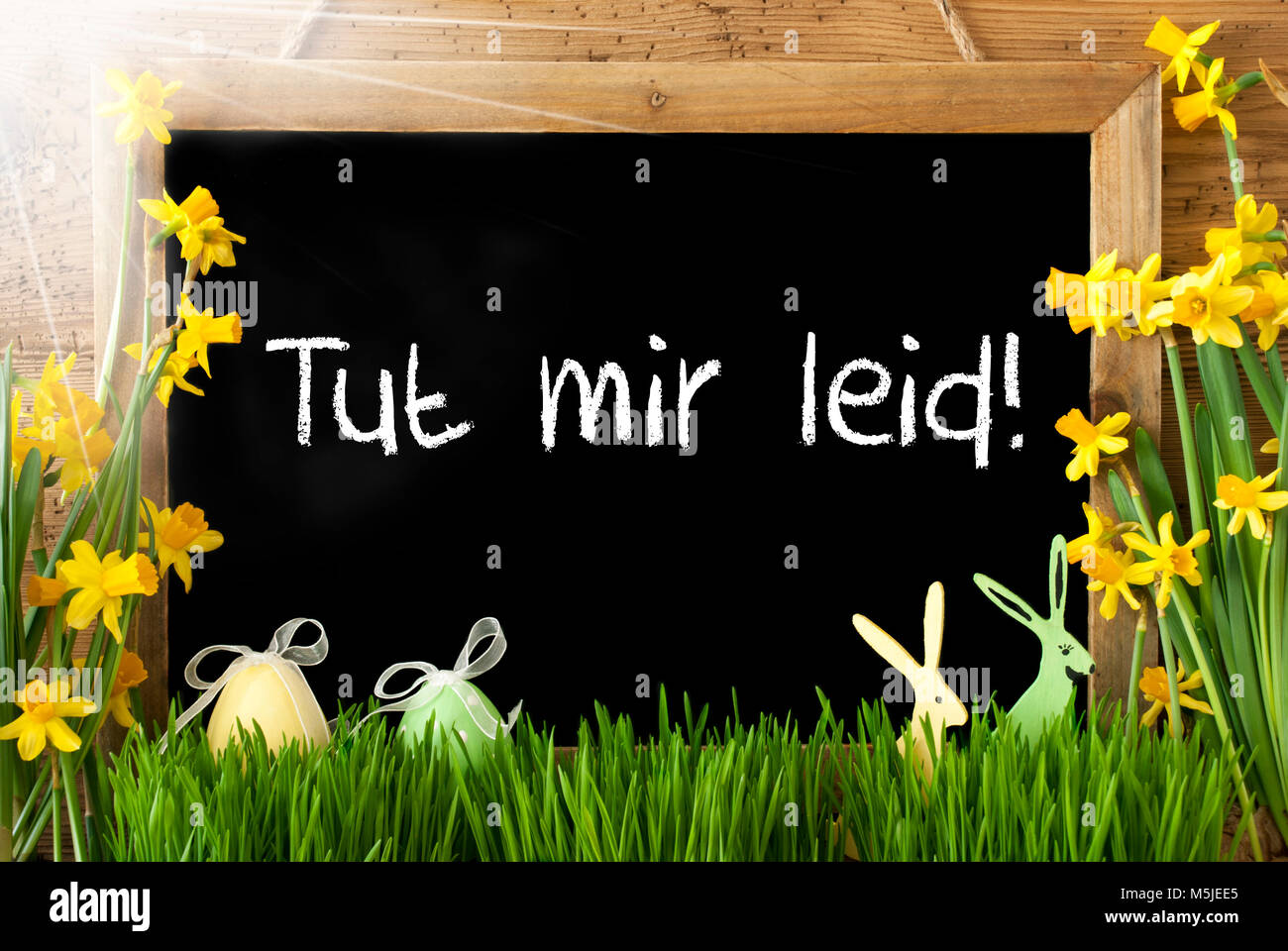 Lavagna con testo tedesco Tut Mir Leid significa Spiacenti. Sunny fiori di primavera Nacissus o Daffodil con erba, Uovo di Pasqua e Bunny. Rustico in legno invecchiato B Foto Stock