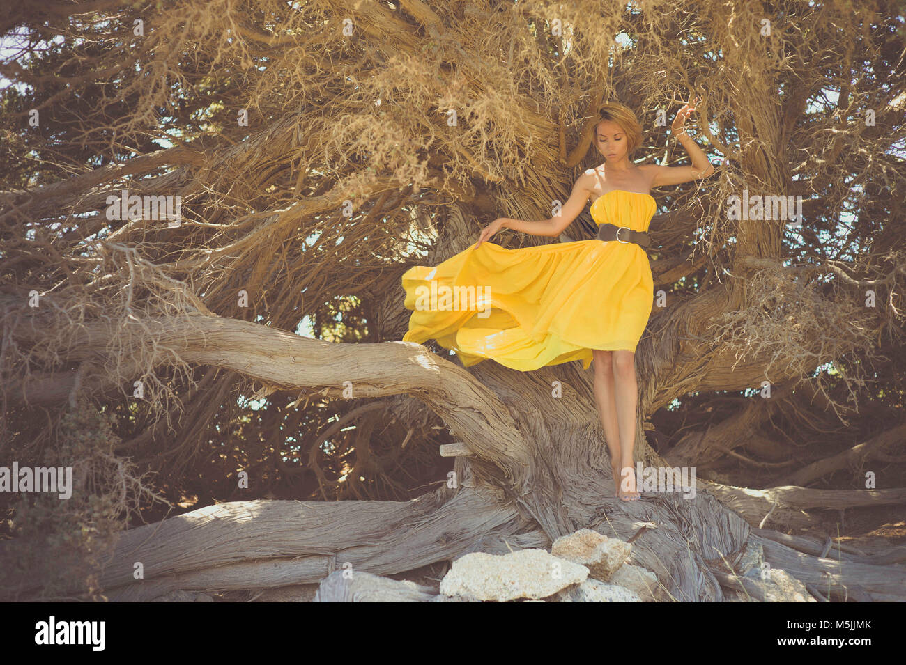 Giovane e bella signora in abito giallo con albero possente Foto Stock