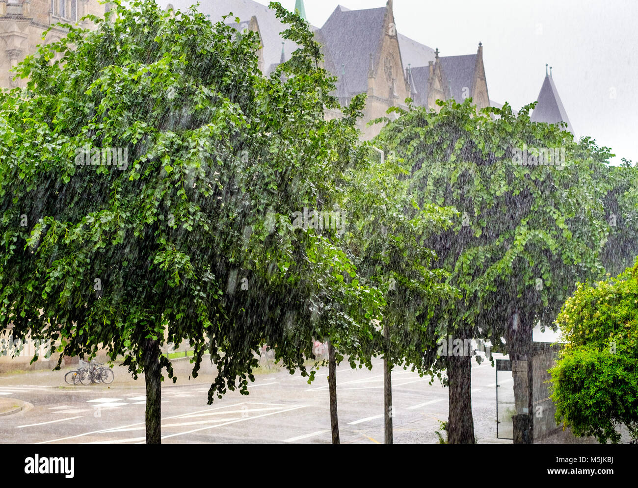 Estate doccia di pioggia, tigli, Strasburgo, Alsazia, Francia, Europa Foto Stock