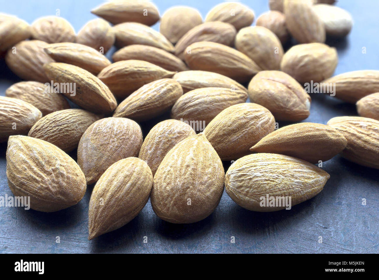 Albicocca secca kernel.medicina alternativa.La prevenzione del cancro . Foto Stock