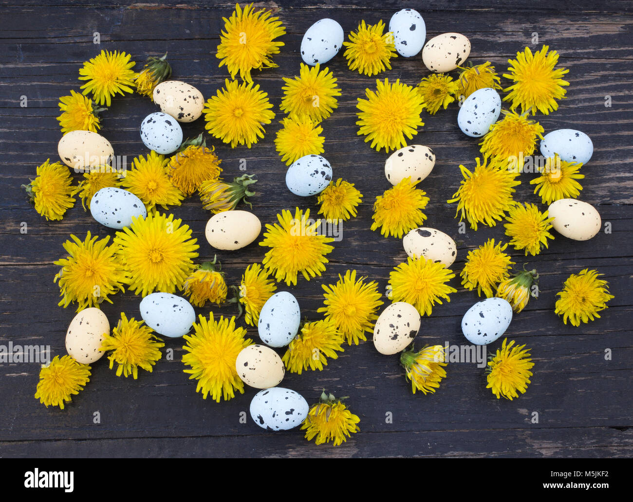 Uova di Pasqua e tarassaco su sfondo di legno Foto Stock