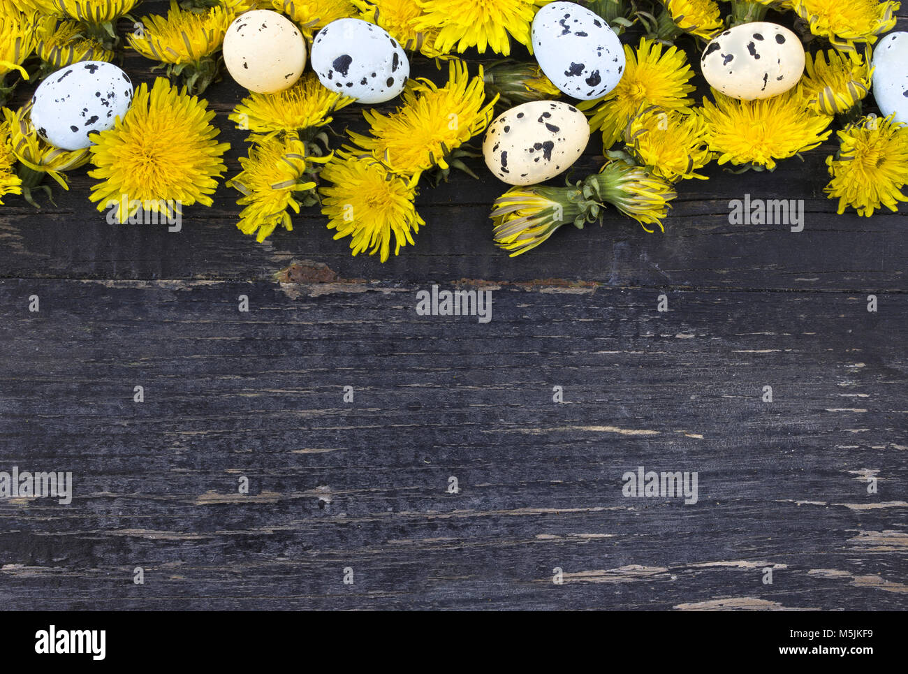 Coloratissimo uovo di pasqua bordo laterale contro il legno scuro Foto Stock