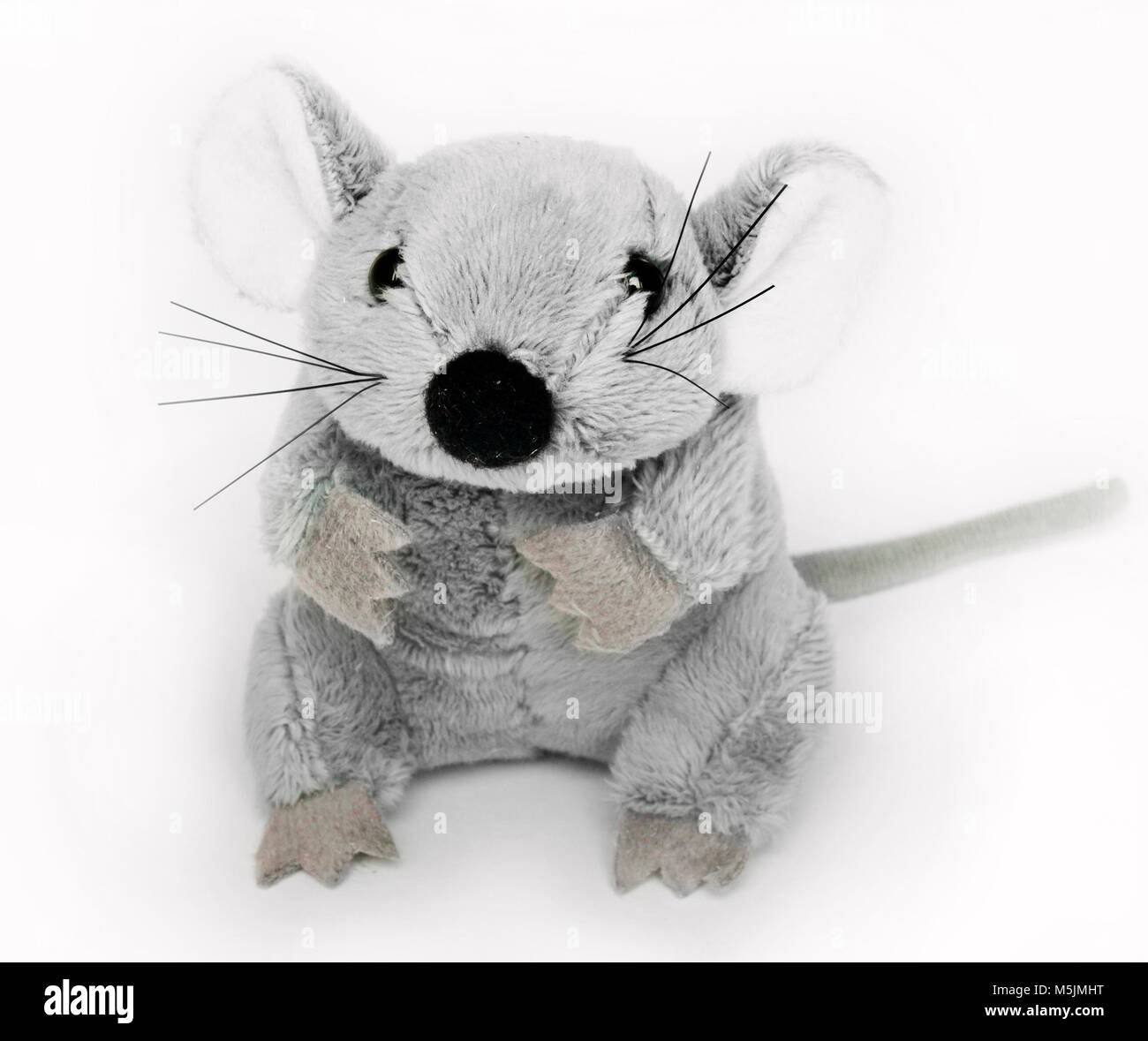 cucciolo di ratto - 4 Pelouche rat immagini e fotografie stock ad alta risoluzione - Alamy