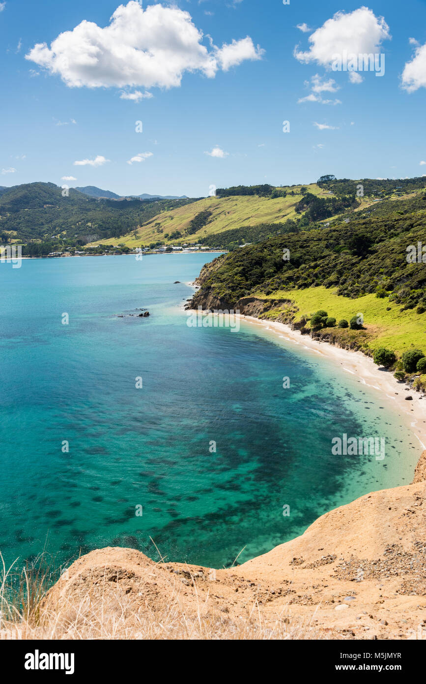 Arai-Te-Uru penisola, vicino Openoni, Isola del nord, Nuova Zelanda Foto Stock