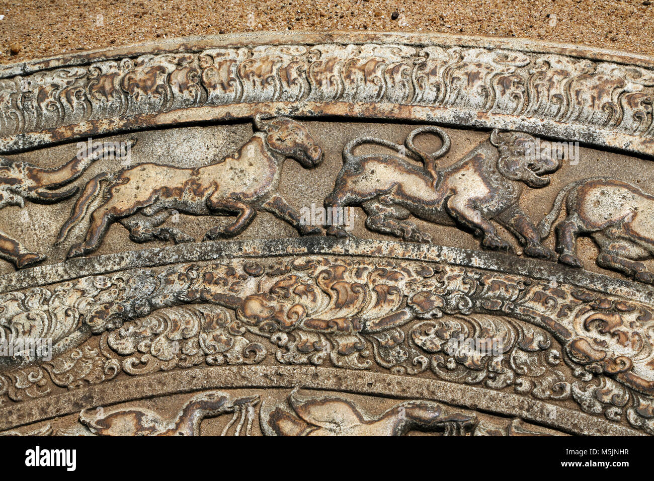 Anuradhapura Nord provincia centrale dello Sri Lanka Monastero Abhayagiri Close Up della Pietra di luna raffiguranti le fiamme del cavallo e del leone e Liyawel Foto Stock