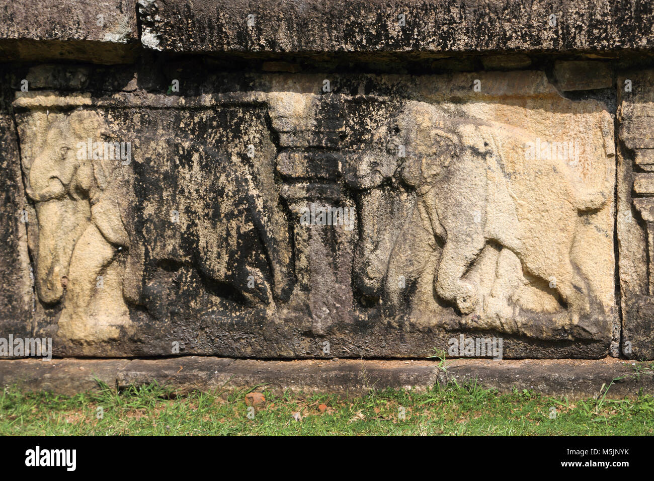 Polonnaruwa Nord provincia centrale dello Sri Lanka re della Camera del Consiglio Foto Stock