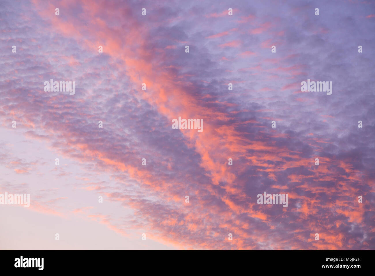 Rosy cirrus nuvole,all'alba,Germania Foto Stock