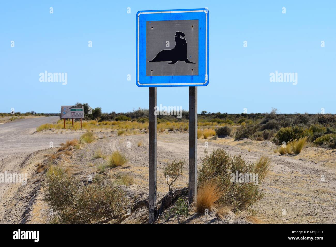 Segnale di avvertimento sulla strada,l'elefante meridionale guarnizione,Penisola Valdes,Chubut,Argentina Foto Stock