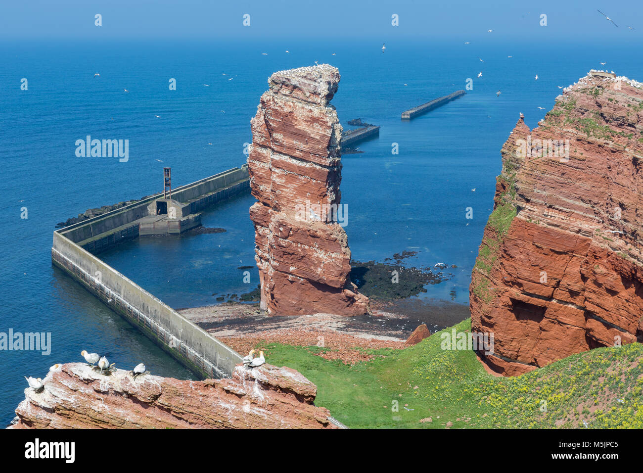 Cliff Lange Anna a punta occidentale della isola tedesca Helgoland Foto Stock