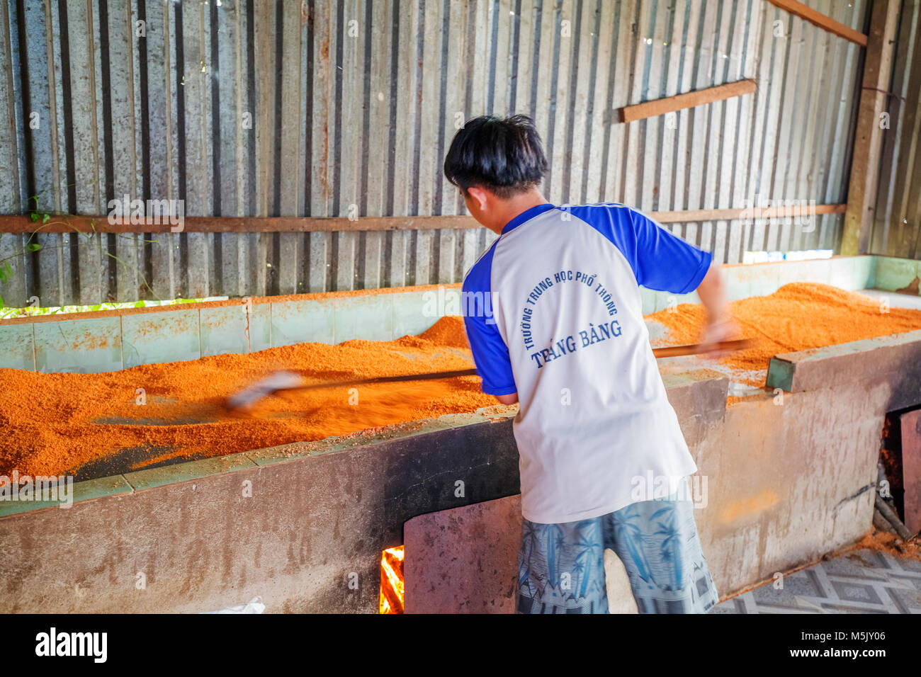 Trasformazione Tây Ninh gamberetti sale (muoi tom) di cucina vietnamita. Tay Ninh è famosa per il commercio all'ingrosso di gamberi sale in Vietnam Foto Stock