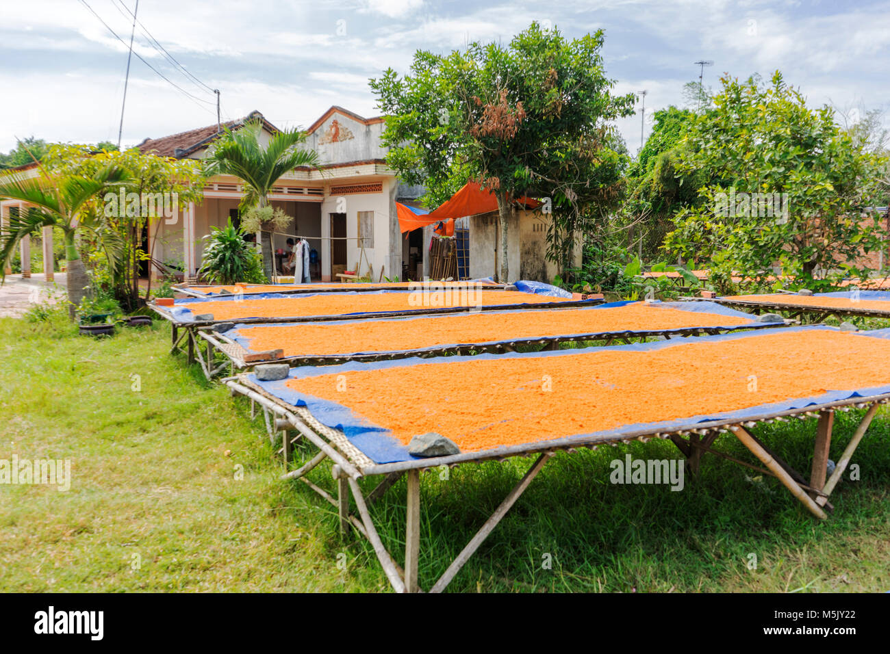 Trasformazione Tây Ninh gamberetti sale (muoi tom) di cucina vietnamita. Tay Ninh è famosa per il commercio all'ingrosso di gamberi sale in Vietnam Foto Stock