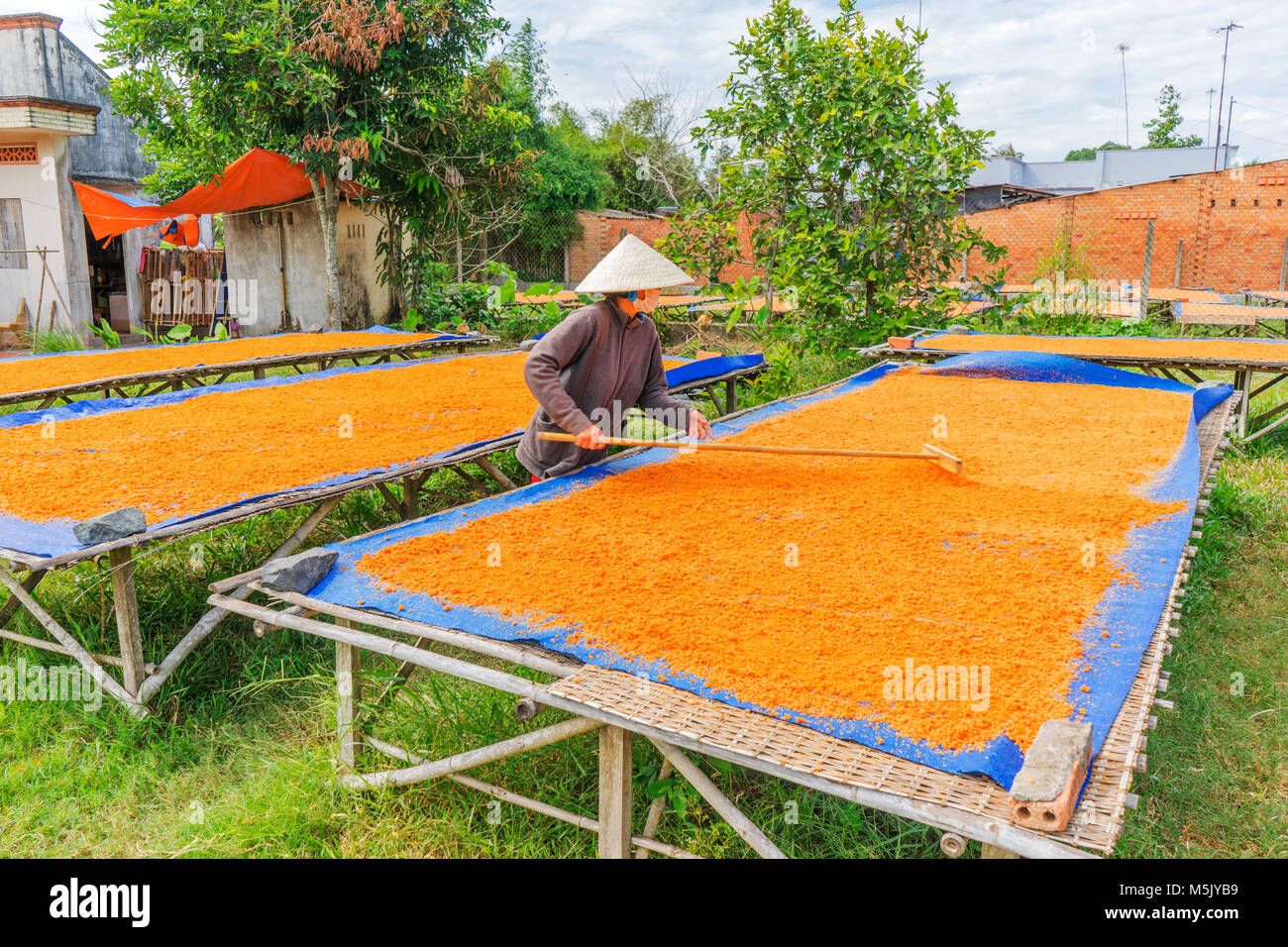 Trasformazione Tây Ninh gamberetti sale (muoi tom) di cucina vietnamita. Tay Ninh è famosa per il commercio all'ingrosso di gamberi sale in Vietnam Foto Stock