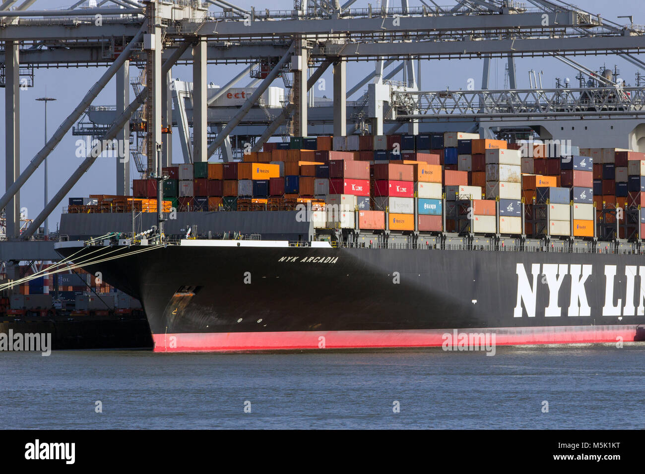 ROTTERDAM, Paesi Bassi - 13 GEN 2012: NYK Line nave container caricato dal gantry cranes presso il terminale di ECT nel porto di Rotterdam. Foto Stock