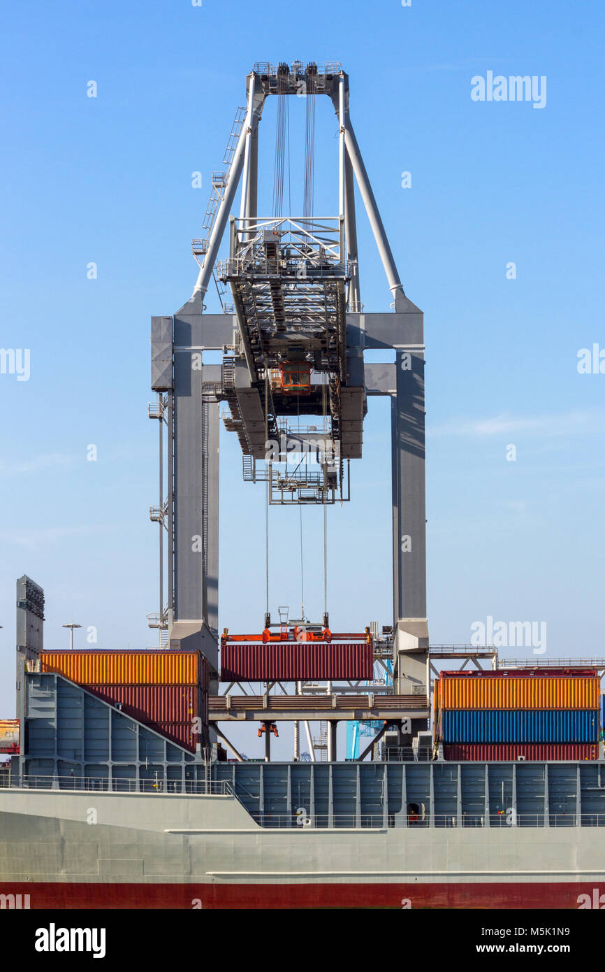 Nave container essendo caricato da un cran presso un terminale nel porto di Rotterdam. Foto Stock