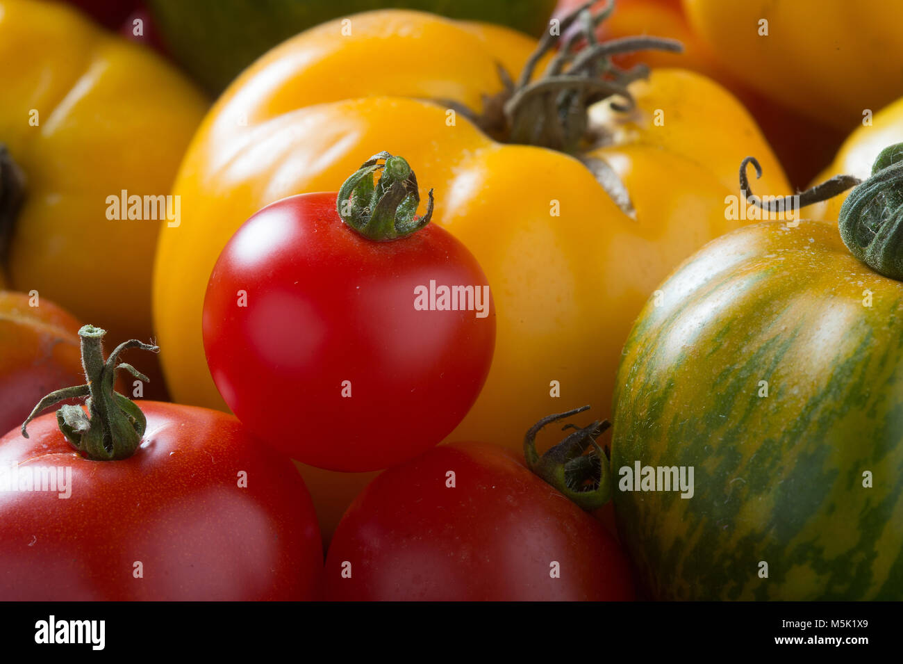 Immagine ravvicinata di pomodori colorati. Foto Stock