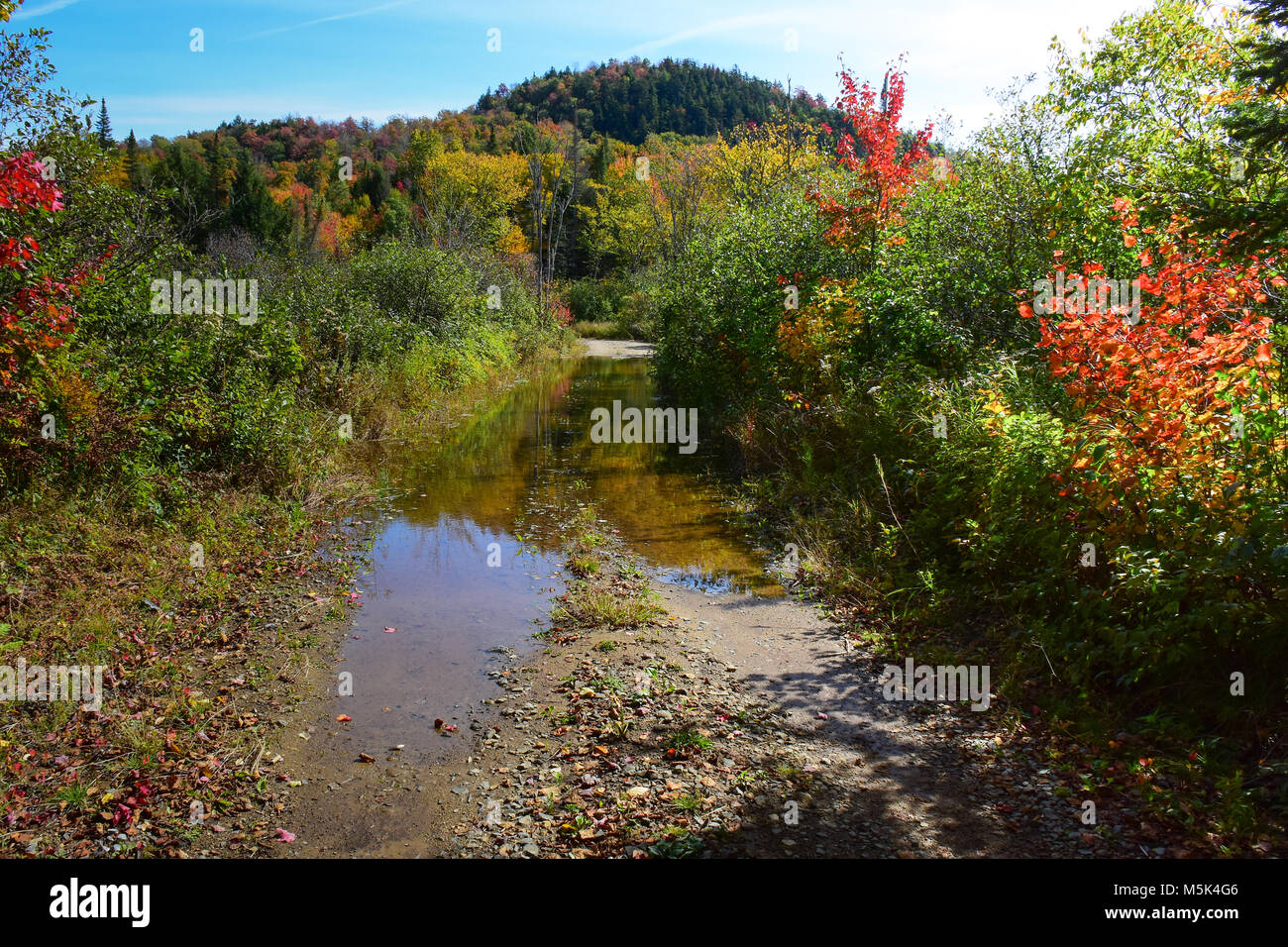 In un invaso strada sterrata in Adirondack NY deserto in autunno con le foglie colorate. Foto Stock