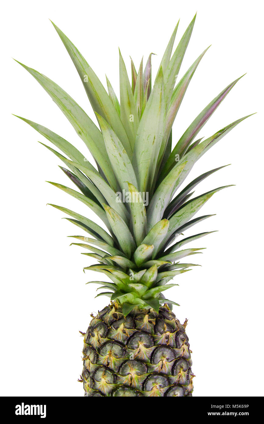 Di ananas maturo isolato su sfondo bianco, il percorso di taglio Foto Stock