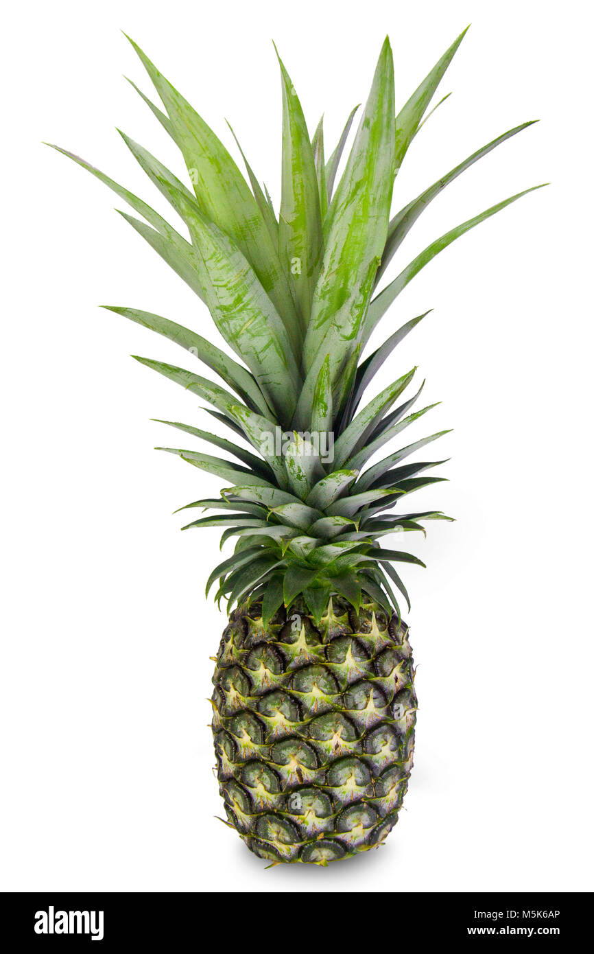 Di ananas maturo isolato su sfondo bianco, il percorso di taglio Foto Stock