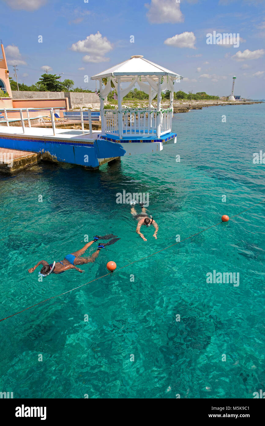 Snorkeller in acqua cristallina a hotel Cozumel, dietro la luna di miele lodge su jetty, Cozumel, Messico, Caraibi Foto Stock