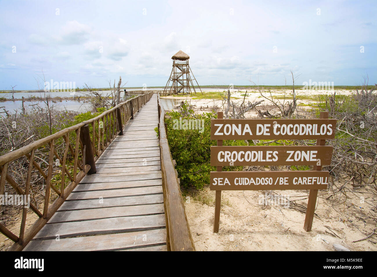 Piattaforma di osservazione e la torre di guardia della zona Crocodil, Punta Sur Park, Punta Sur, southside di Cozumel, Messico, Caraibi Foto Stock